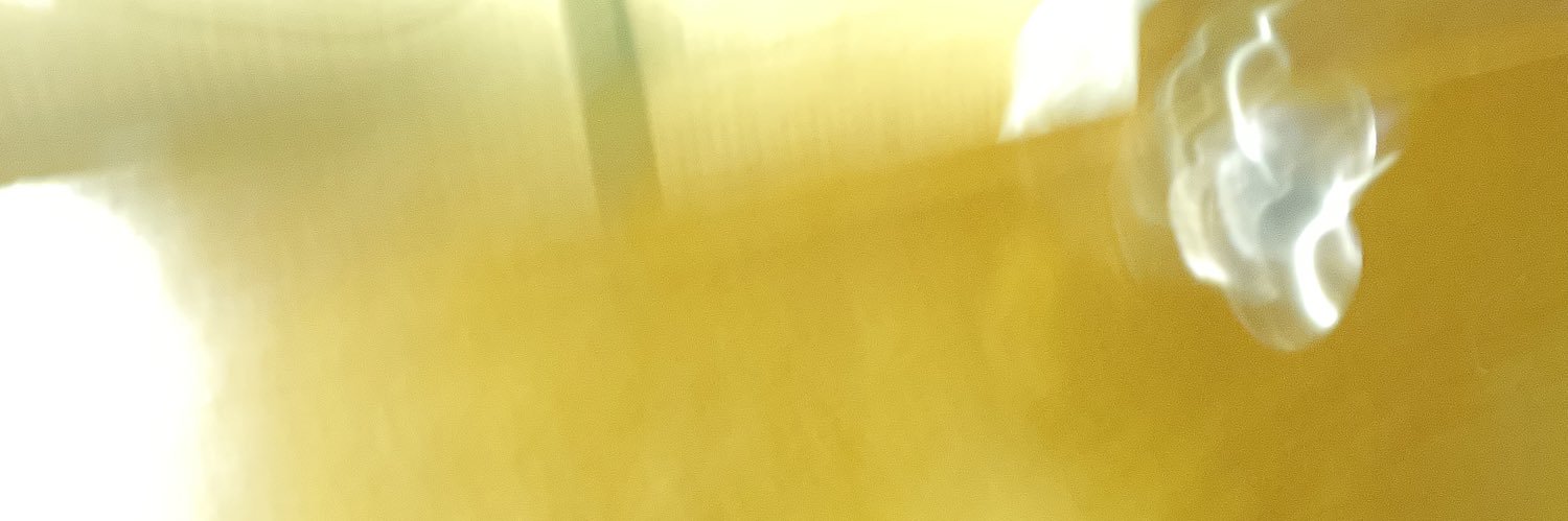 onion___salmon's profile banner image
