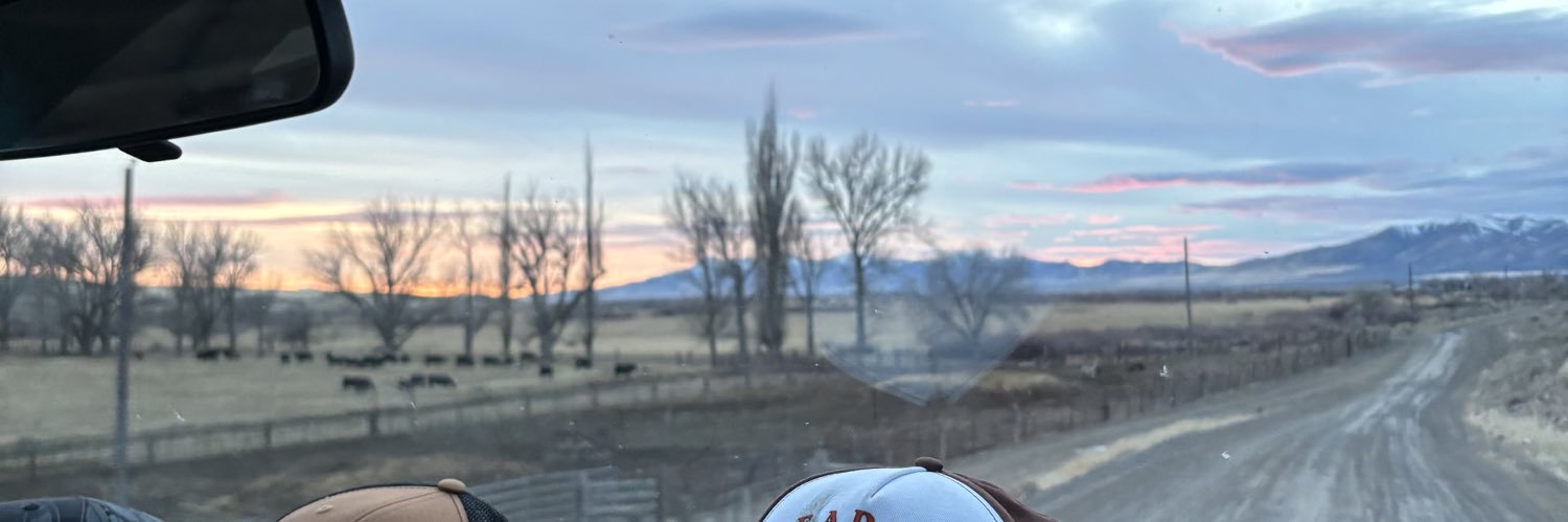 tkibala15's profile banner image