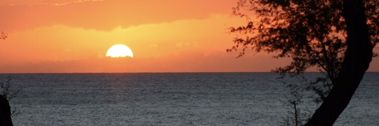 RMedvec's profile banner image