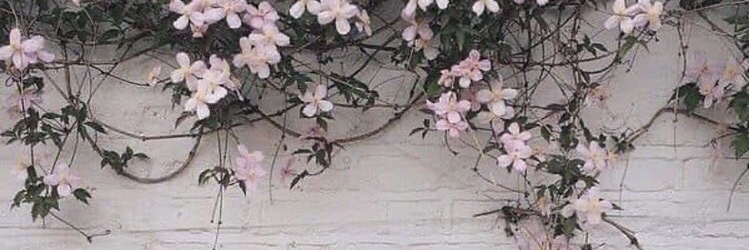 noot_52's profile banner image