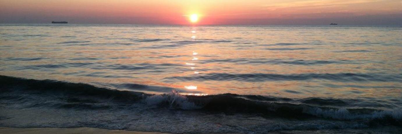 Steve Warnecke banner