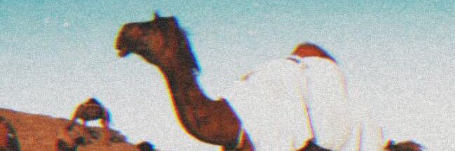 Hamoode112231's profile banner image