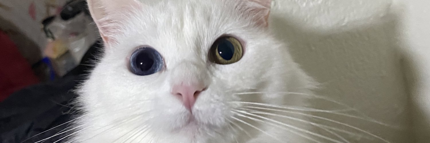 itsjohanab's profile banner image