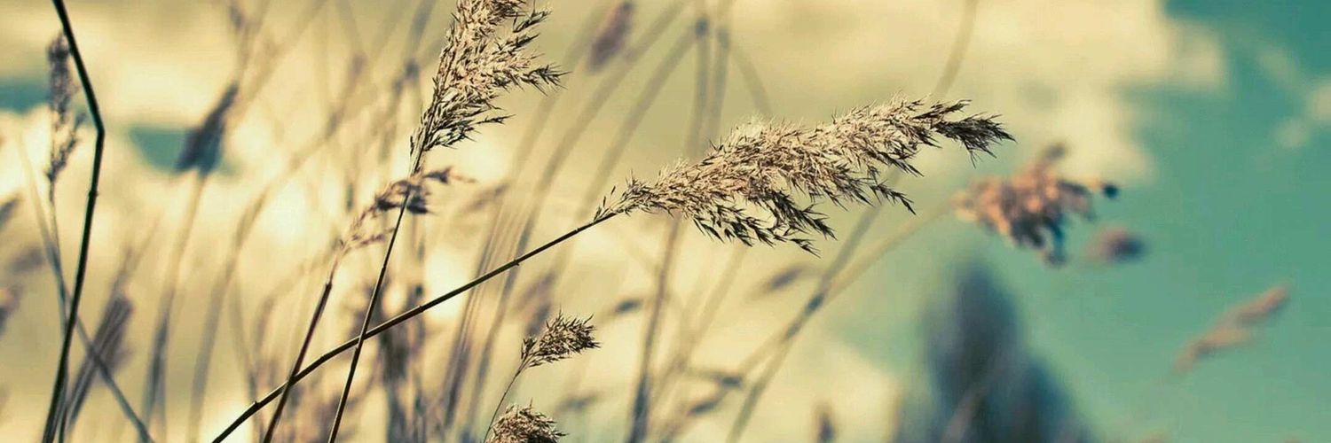 ji_han19's profile banner image