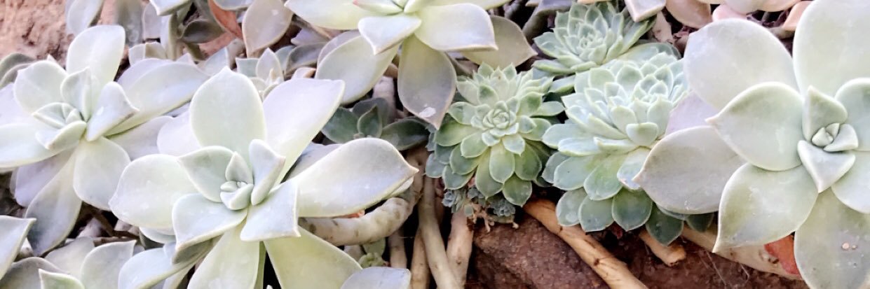 katelynnbrooke_'s profile banner image