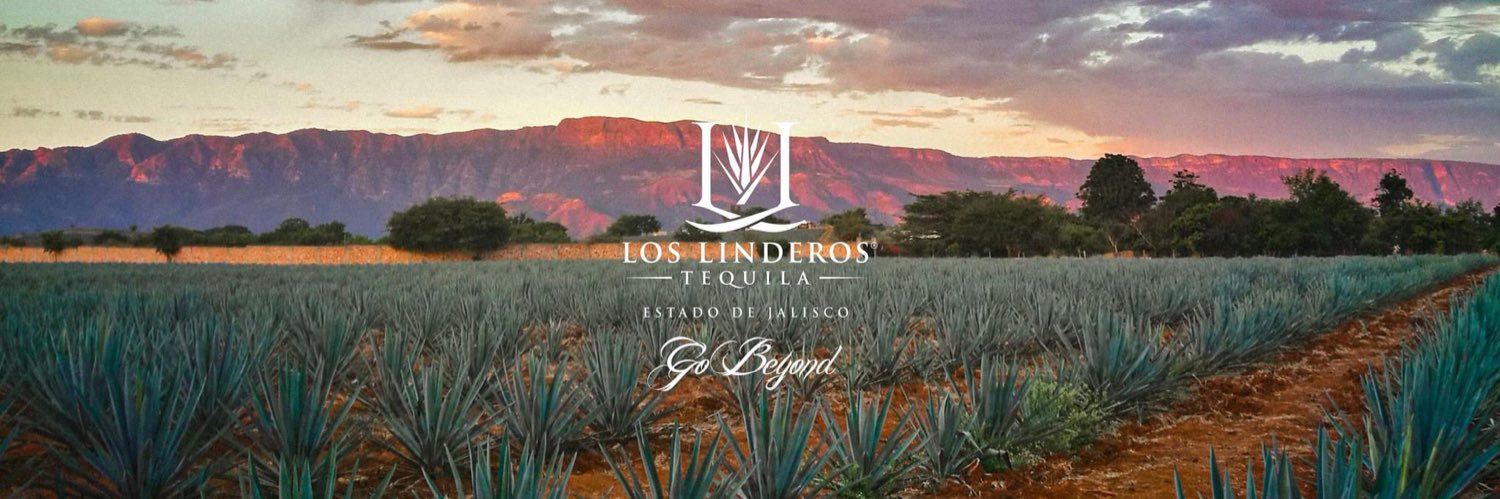 BrandonSpikes55 banner