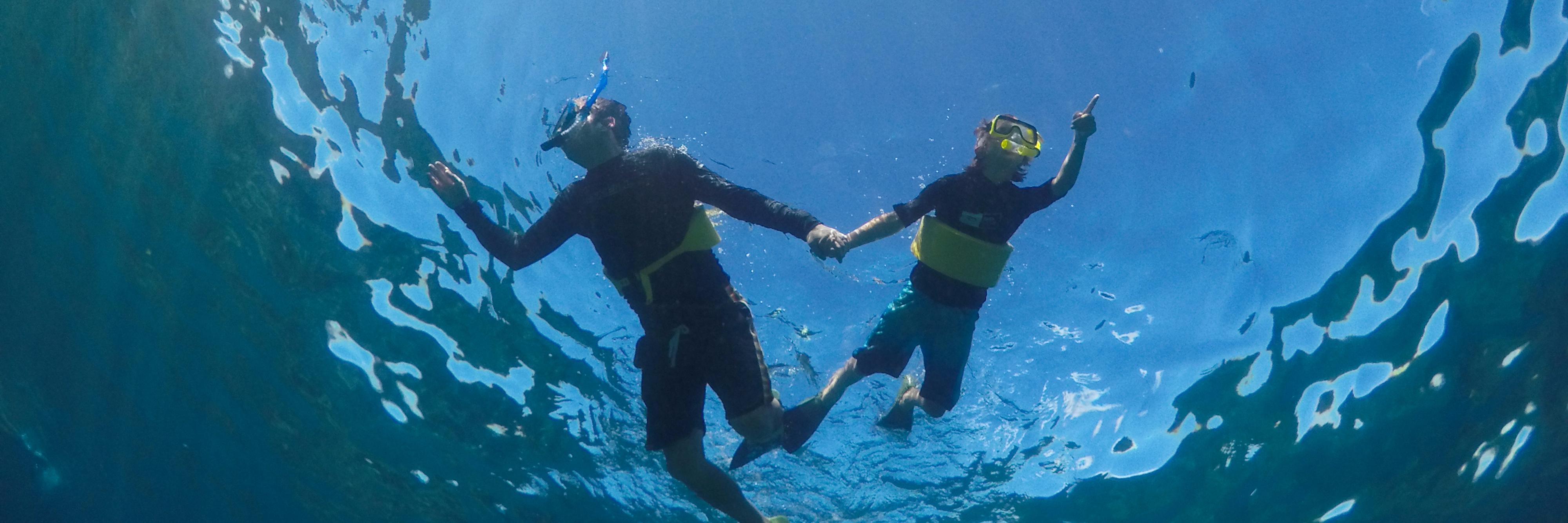 AqualaniHawaii's profile banner image