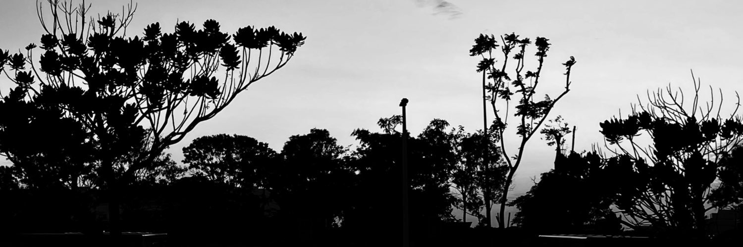 longjohnlin's profile banner image