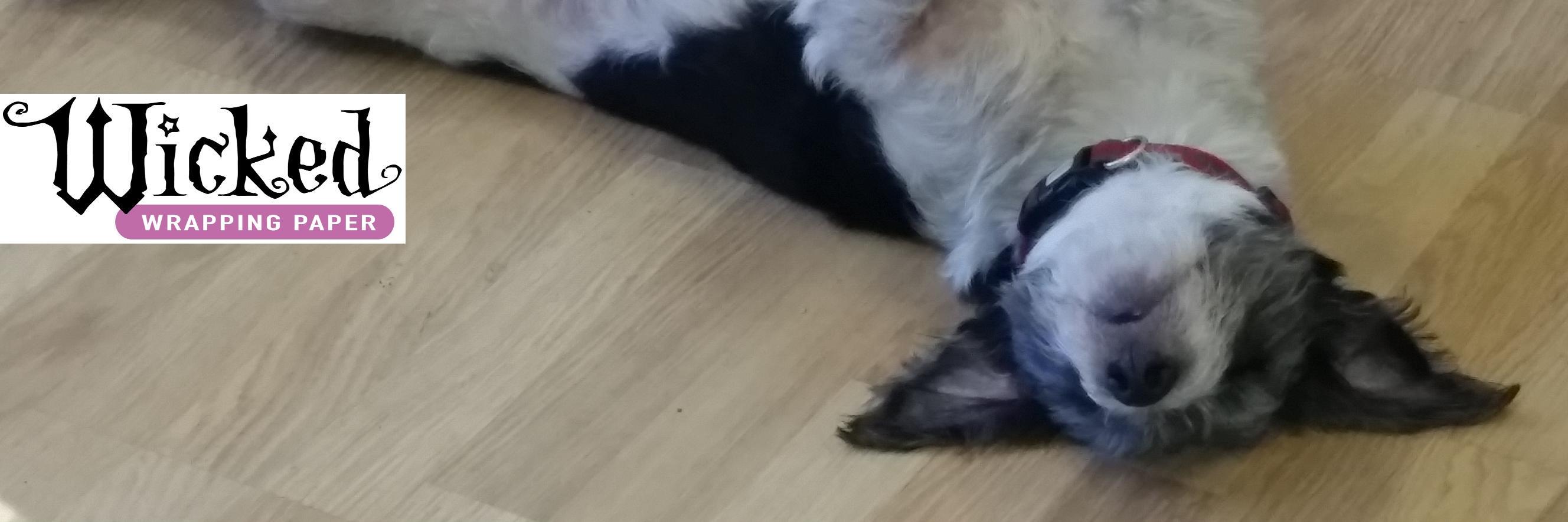 BusterTDog's profile banner image