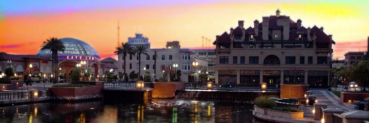 The_Birches's profile banner image