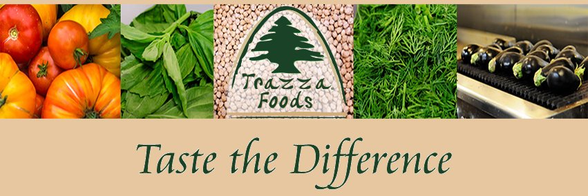 TrazzaFLF's profile banner image