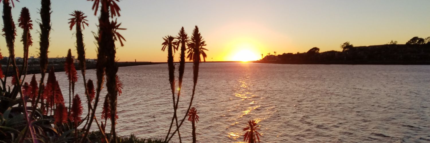 SederVCU's profile banner image