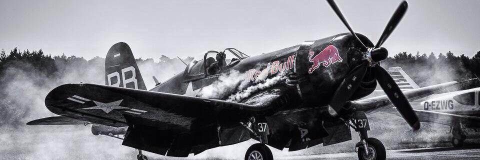 JoseFinch's profile banner image