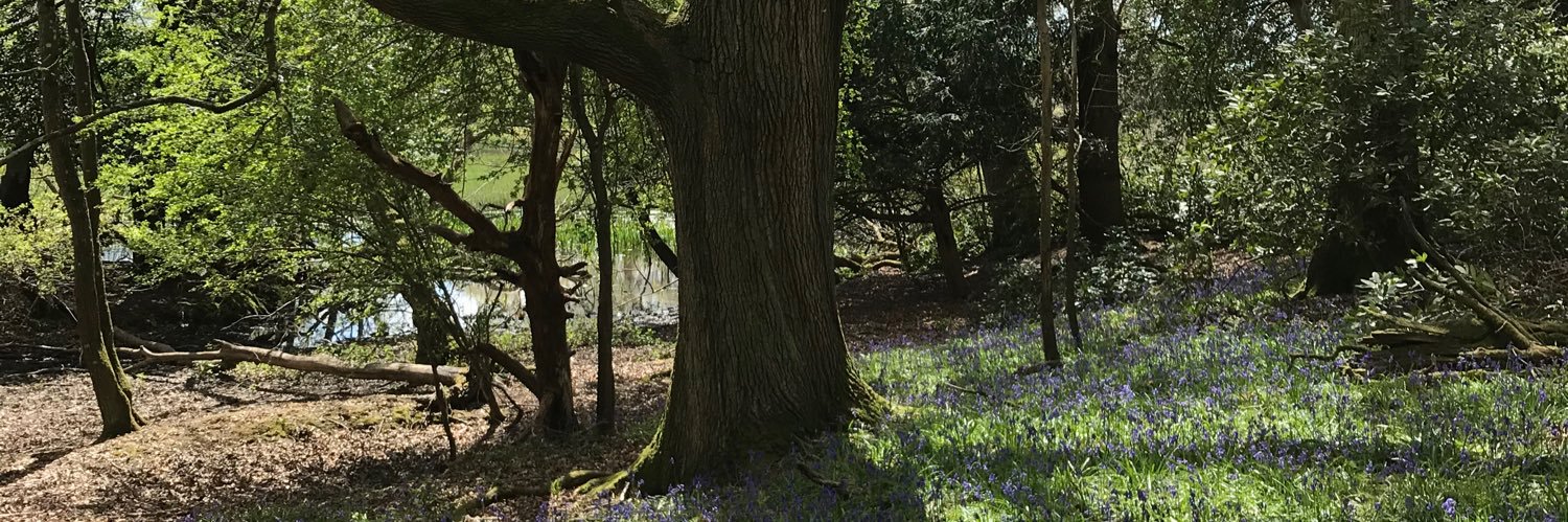 Christine Adamson banner