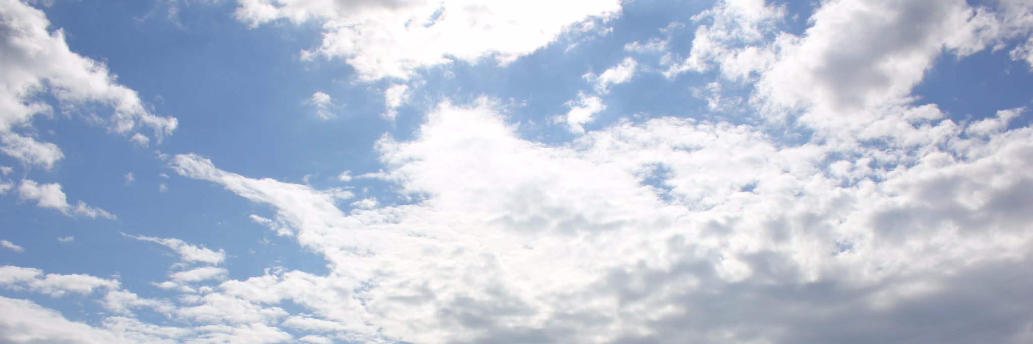 SavannahRKelly's profile banner image
