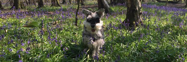 mesanders28 Profile Banner