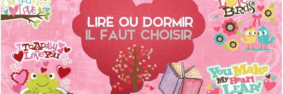 lireoudormir's profile banner image