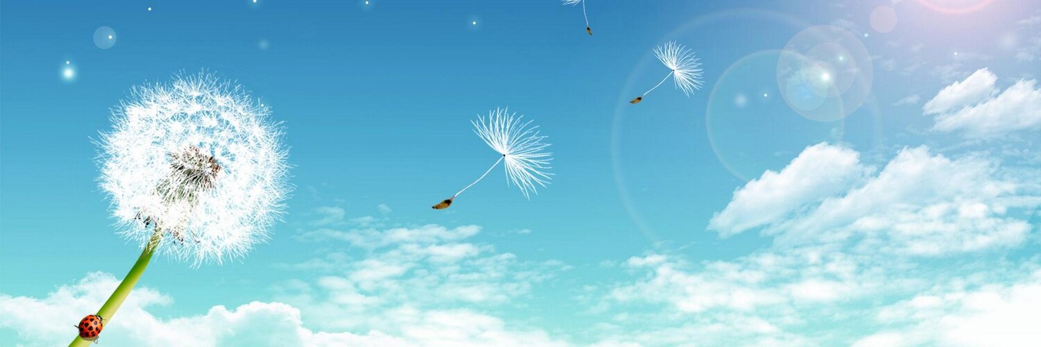 grassflowers's profile banner image