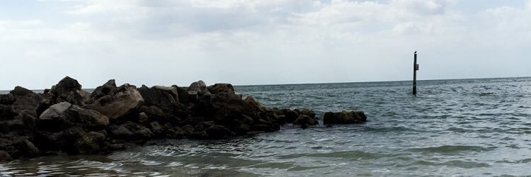 agutiii3's profile banner image