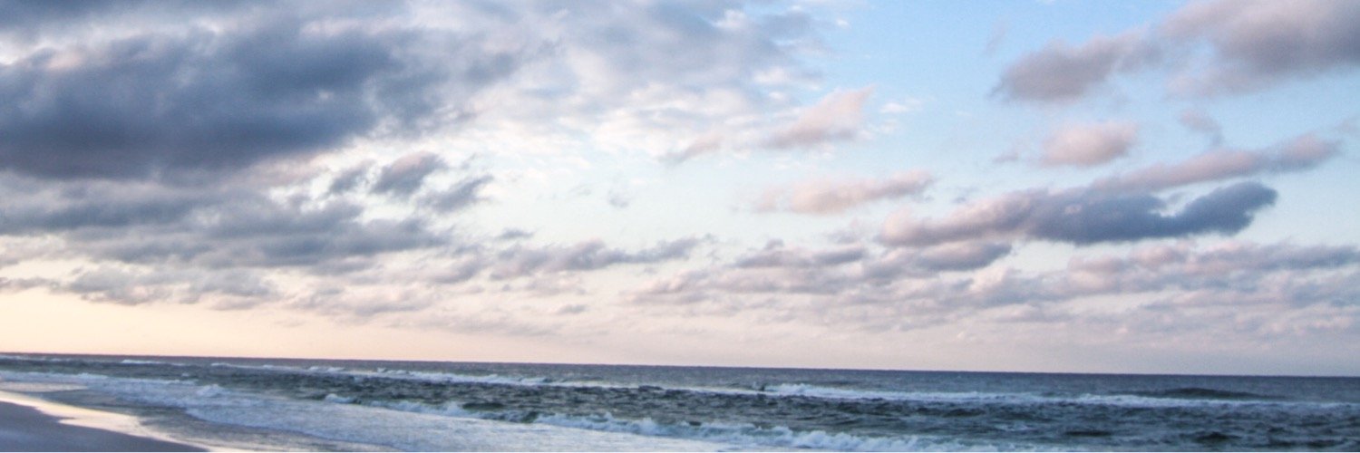Phixieous Ent. banner