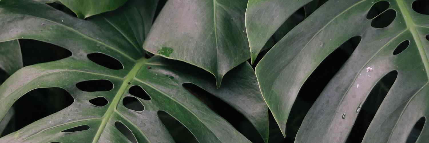 fadjroel_'s profile banner image