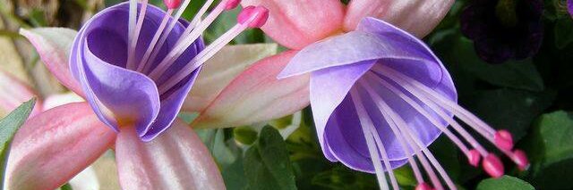jfreund91086's profile banner image