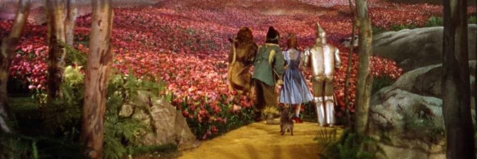 LORIBURTON47's profile banner image