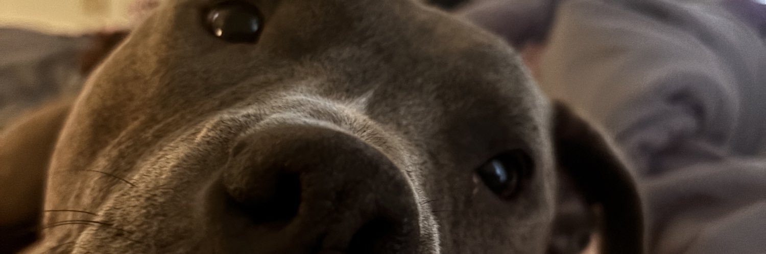 nayerm__'s profile banner image
