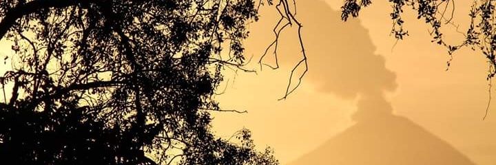 Silvermacs's profile banner image