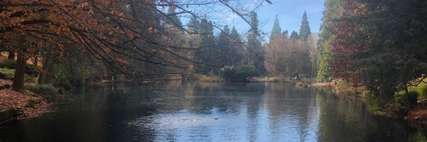 kimkasch Profile Banner