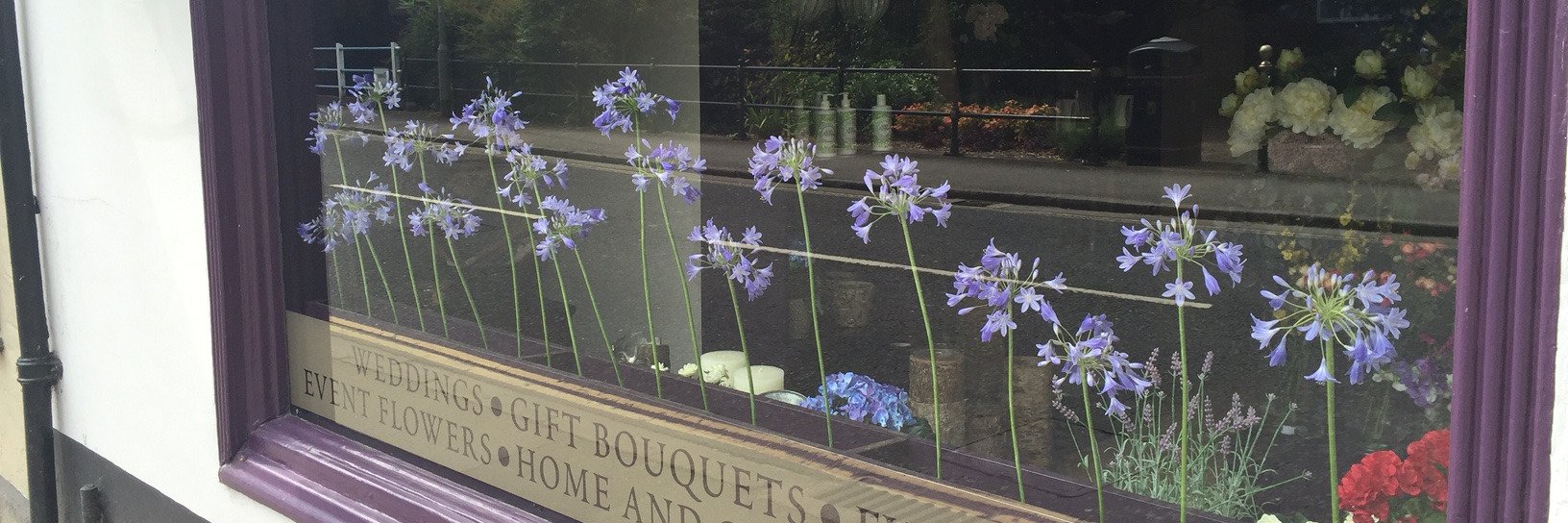 SStylesFlorist's profile banner image