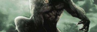 EcChavez1985's profile banner image