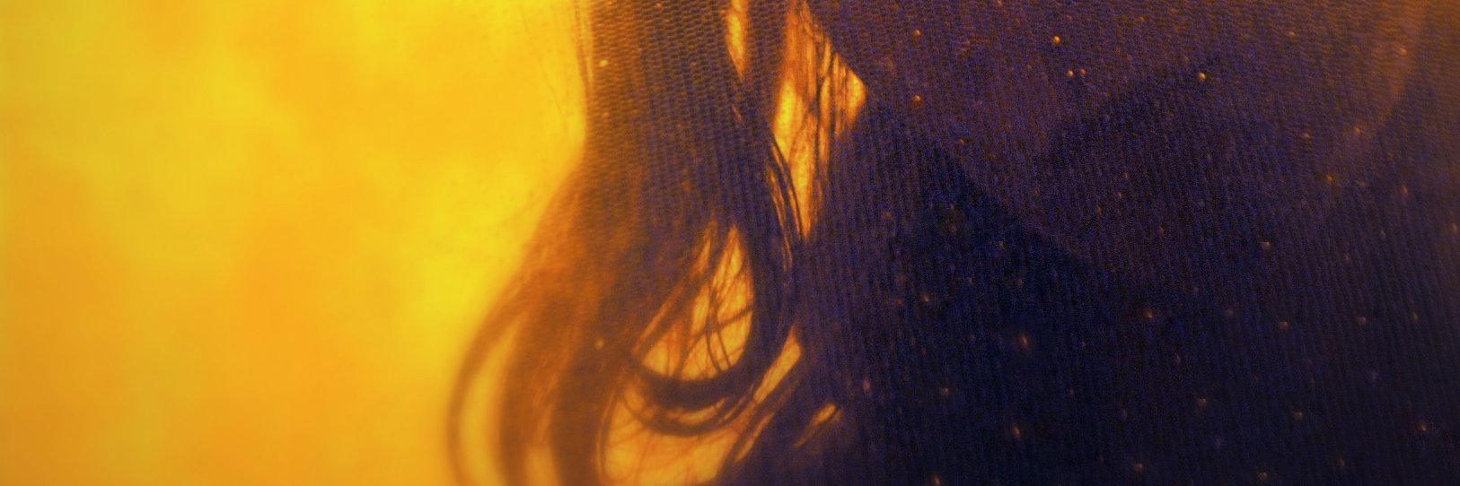 contrelemur's profile banner image
