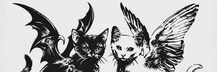 cesarcaz9's profile banner image