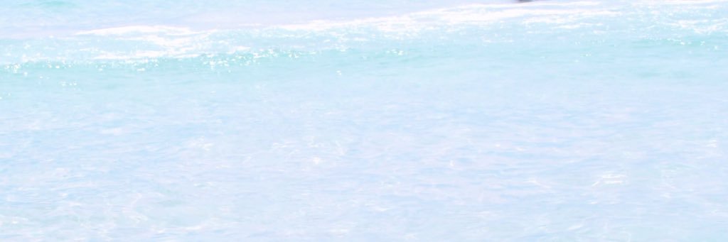 landryythompson's profile banner image