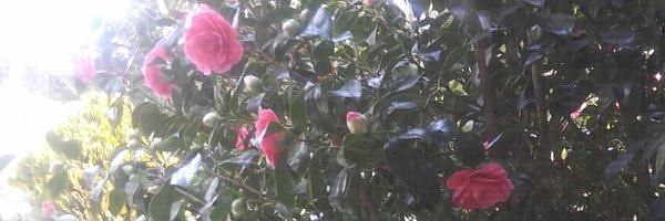 fentyfendi Profile Banner