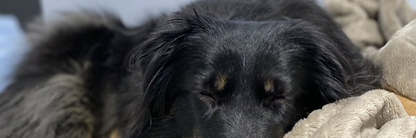 xDaang Profile Banner