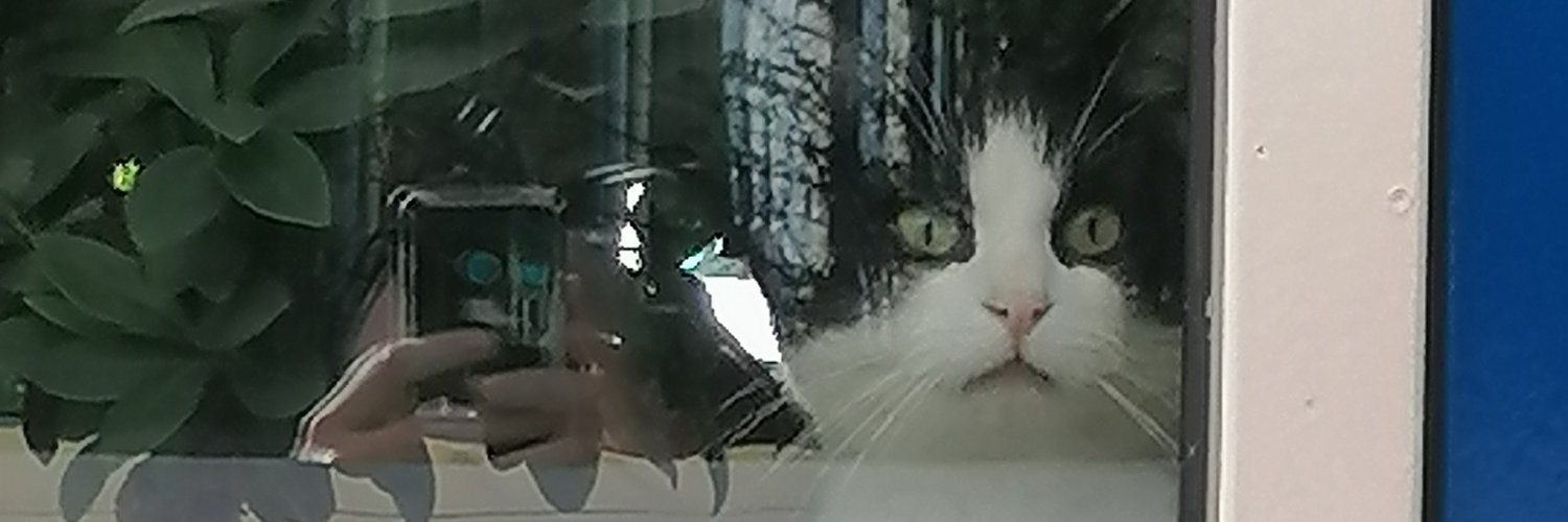 AngelKeurentjes's profile banner image