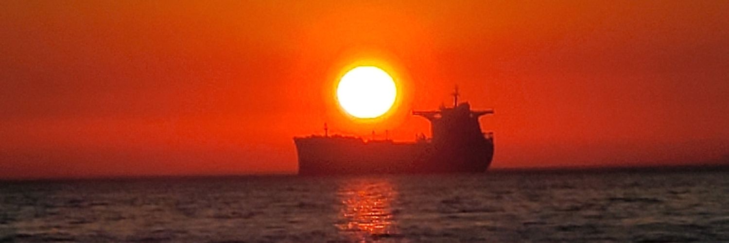 carolinalapham's profile banner image
