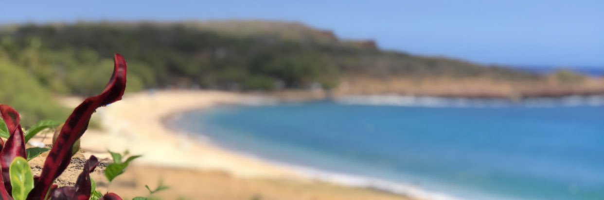Socalval's profile banner image