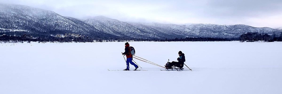 Iona Somerville banner