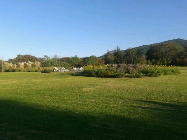 Elvirita Viñals banner