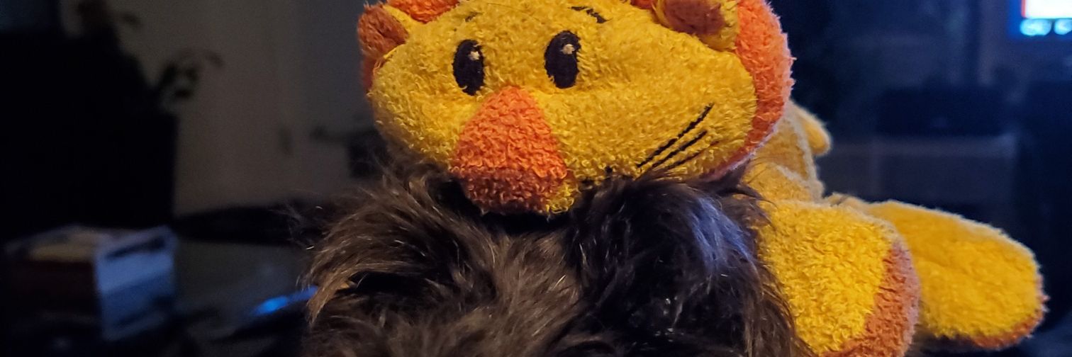 Phishiness's profile banner image
