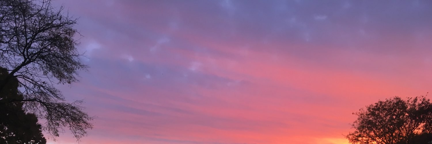 BeWeinreich's profile banner image