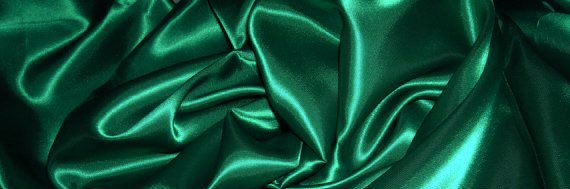 RINI banner
