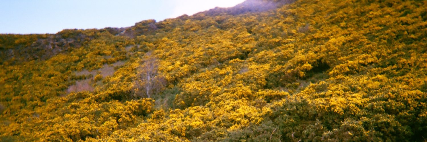 amb4rw's profile banner image