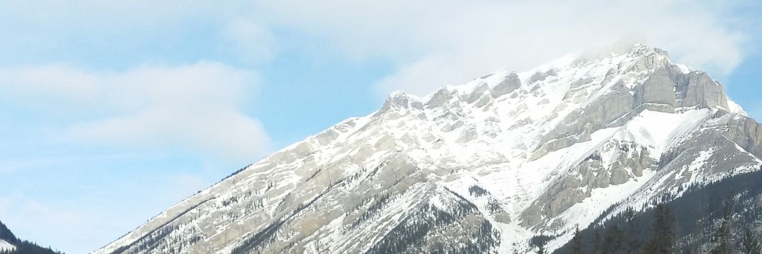 IronRichard's profile banner image