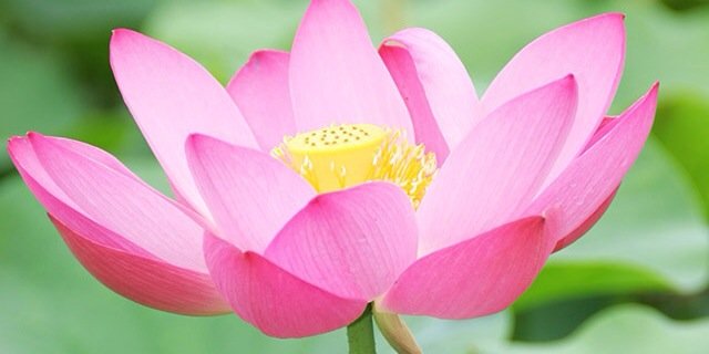 milky628's profile banner image