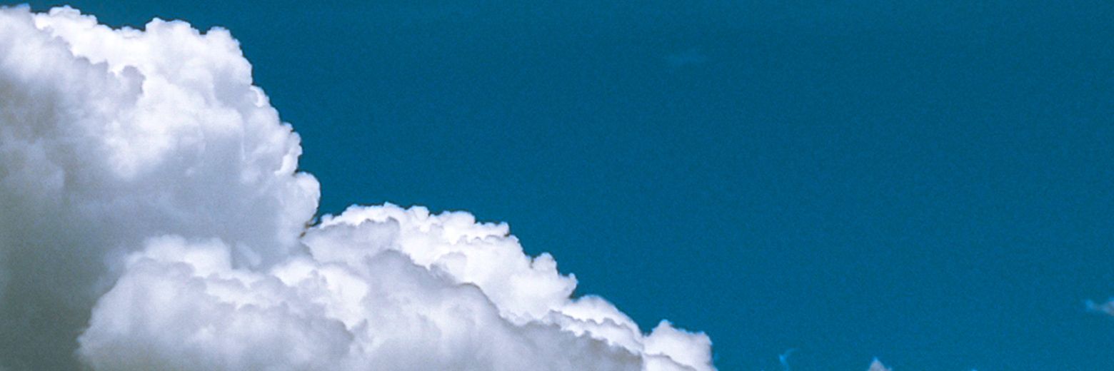 ryuudonburi_'s profile banner image