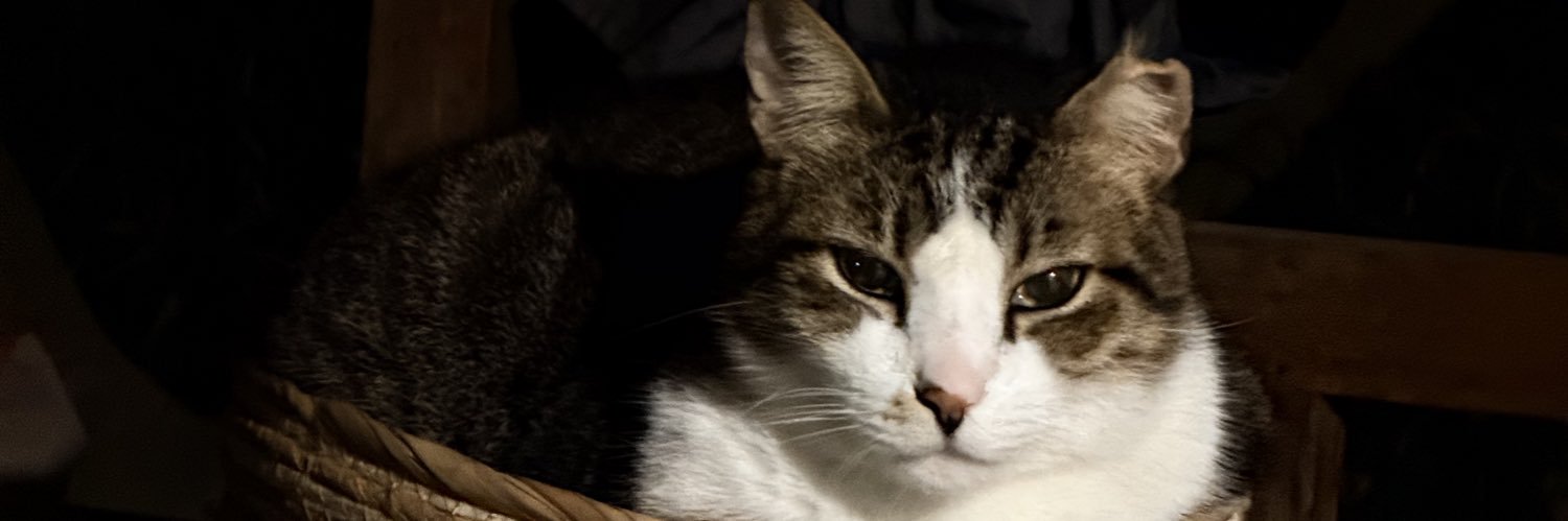 griffel_s's profile banner image
